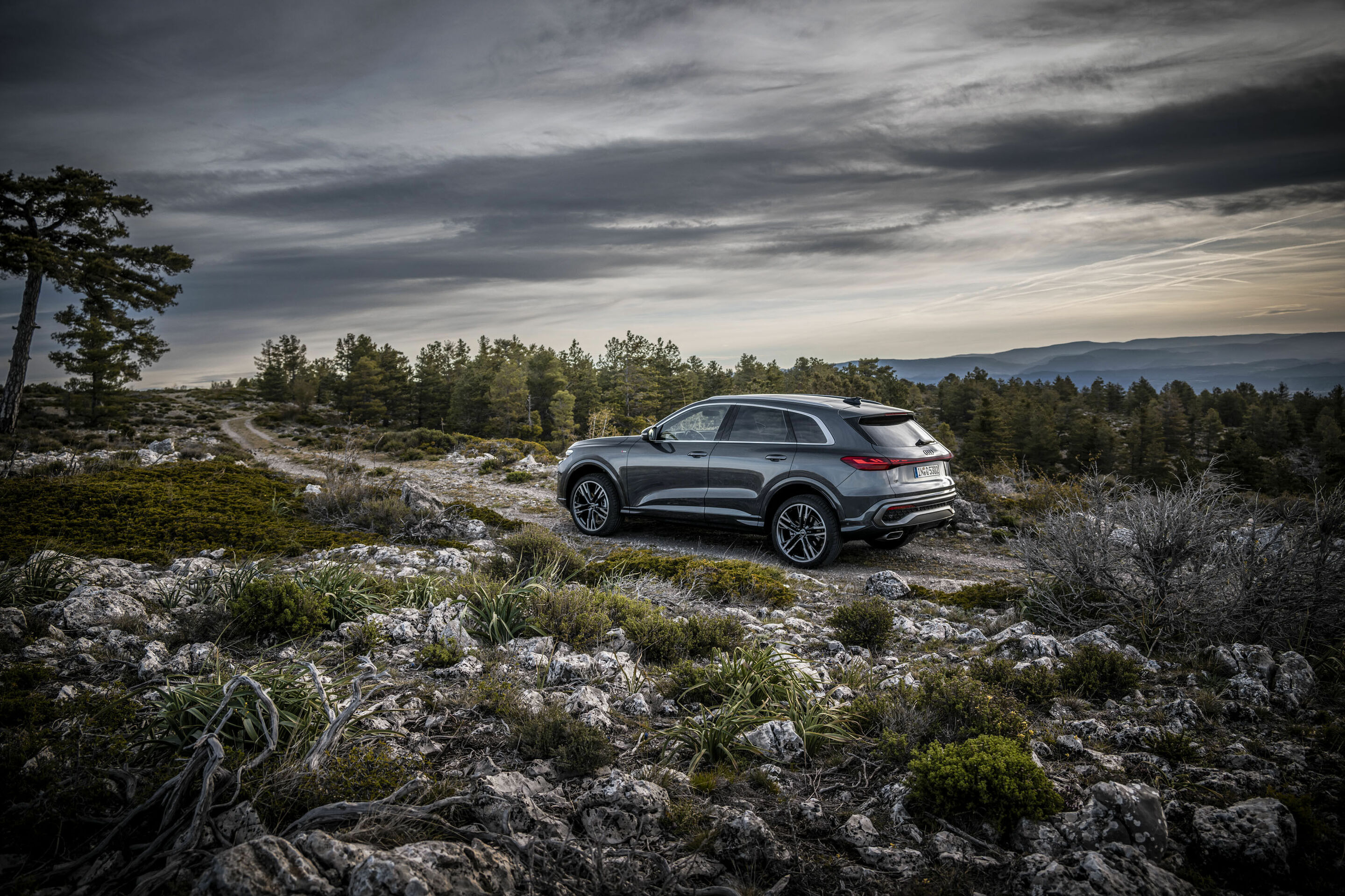 Audi Q5 SUV additional exterior official photo