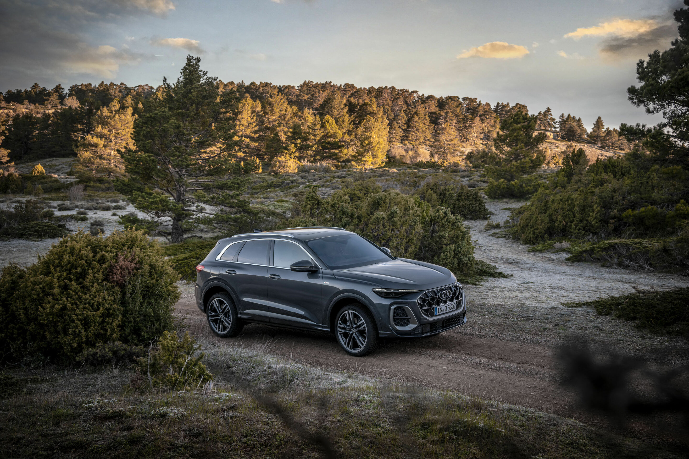 Audi Q5 SUV additional exterior official photo