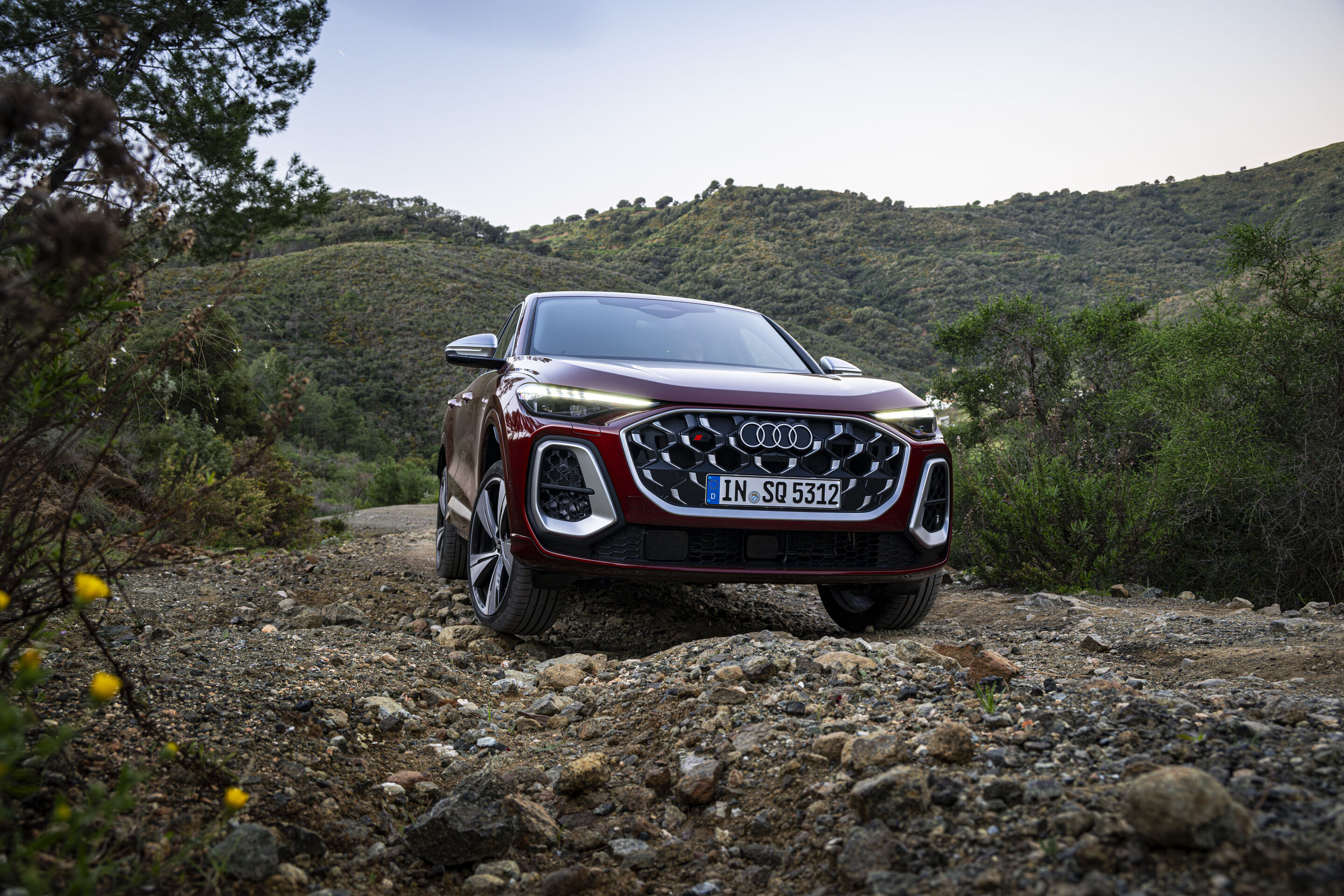 Audi SQ5 Sportback additional exterior official photo