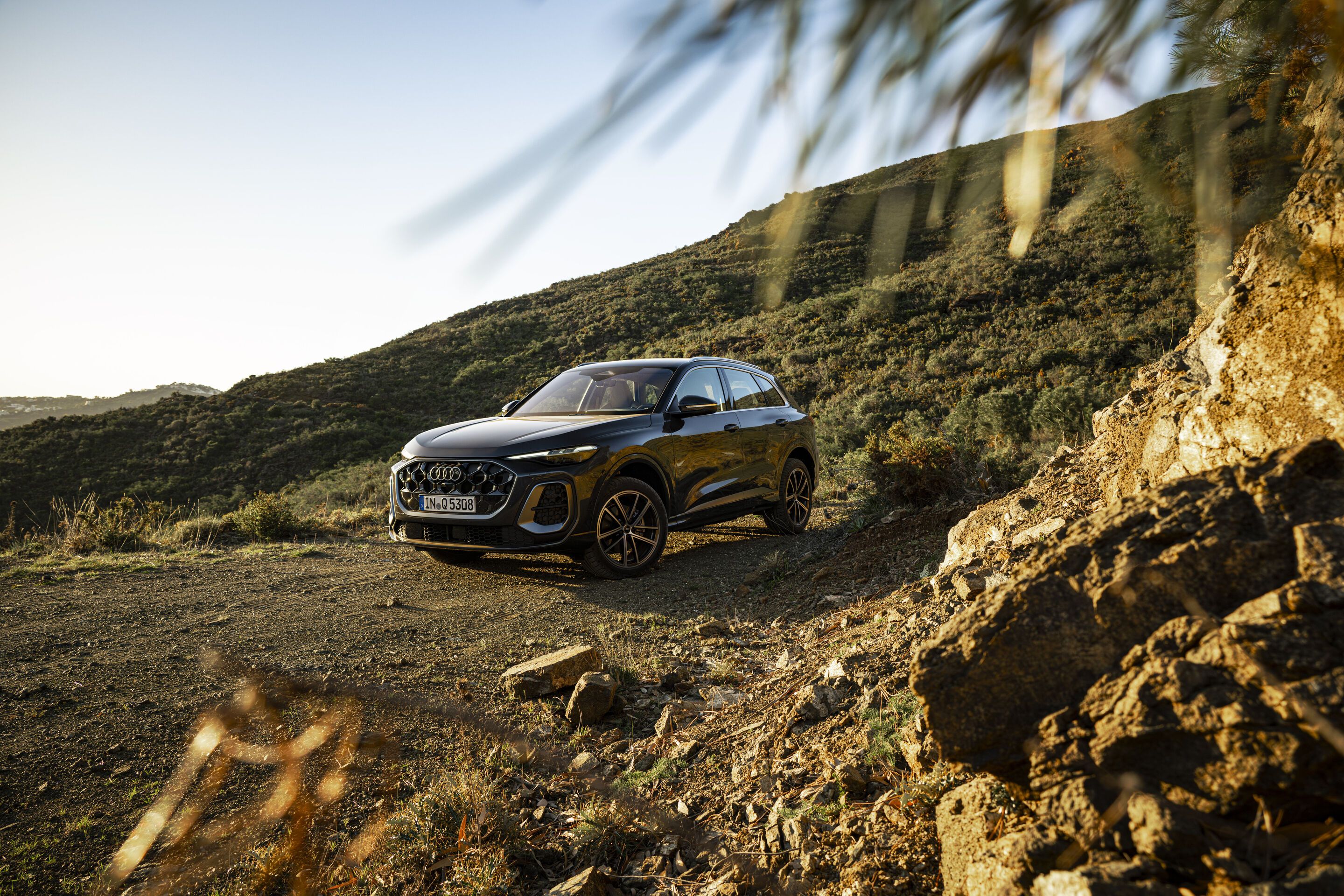 Audi Q5 SUV additional exterior official photo