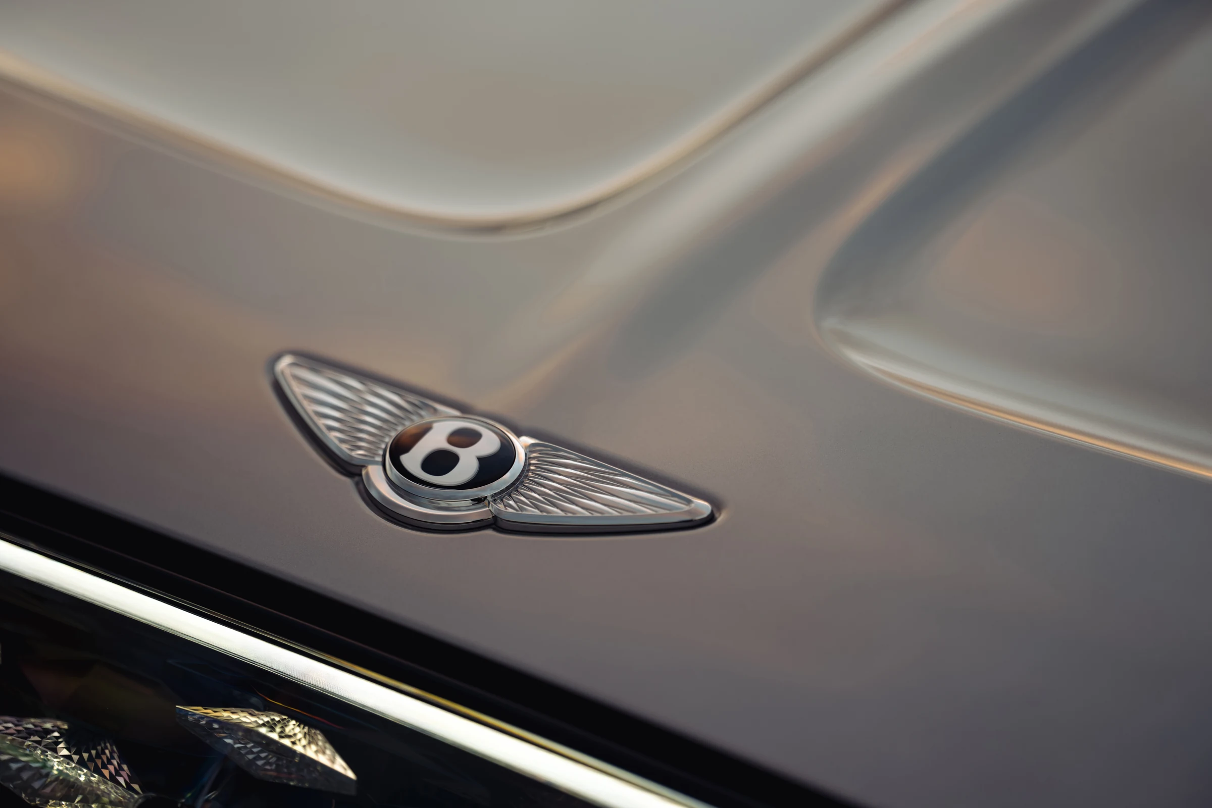 Bentley Torcal close-up details official photo 1