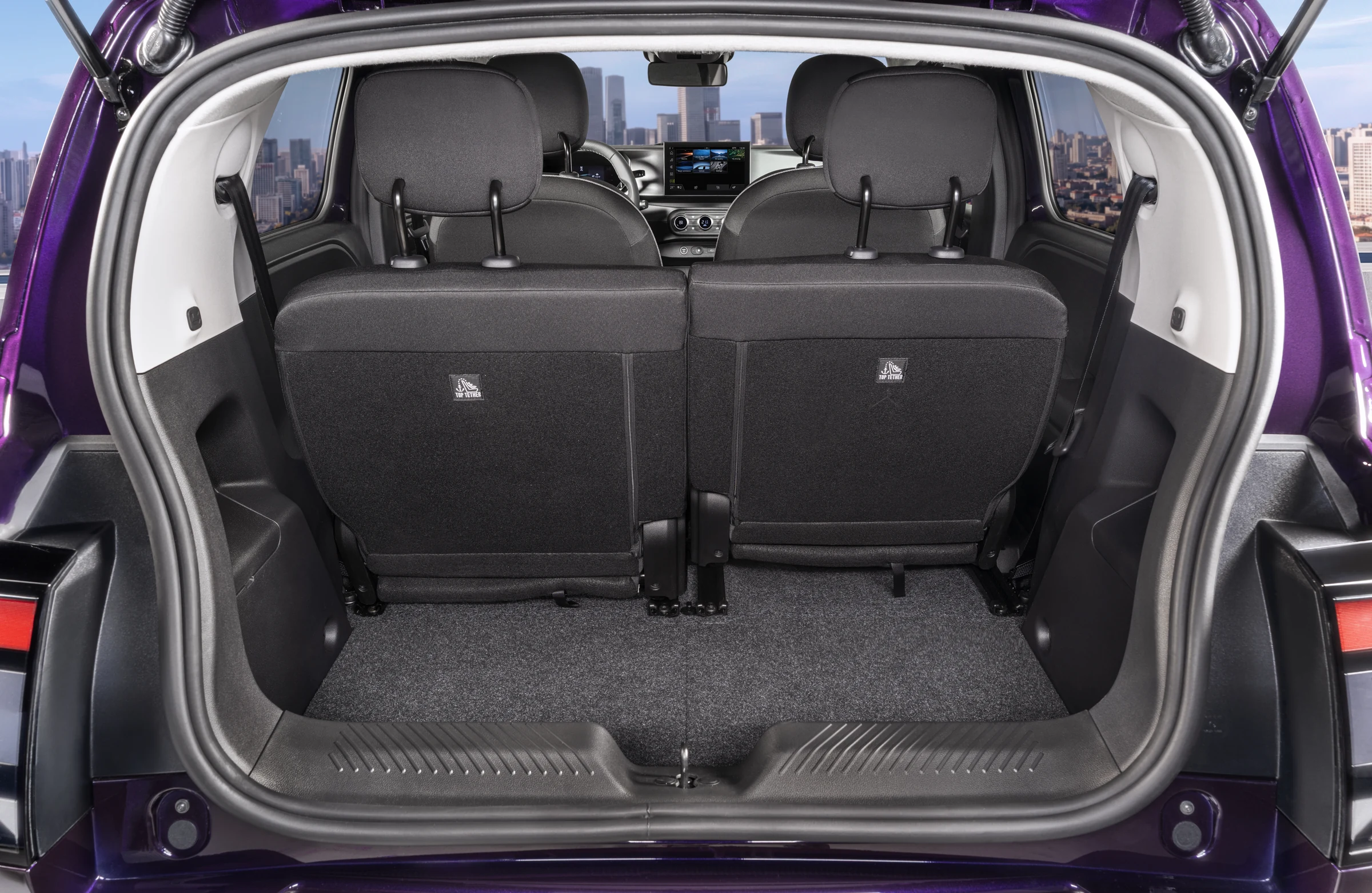 Nissan Pixo interior official photo 30