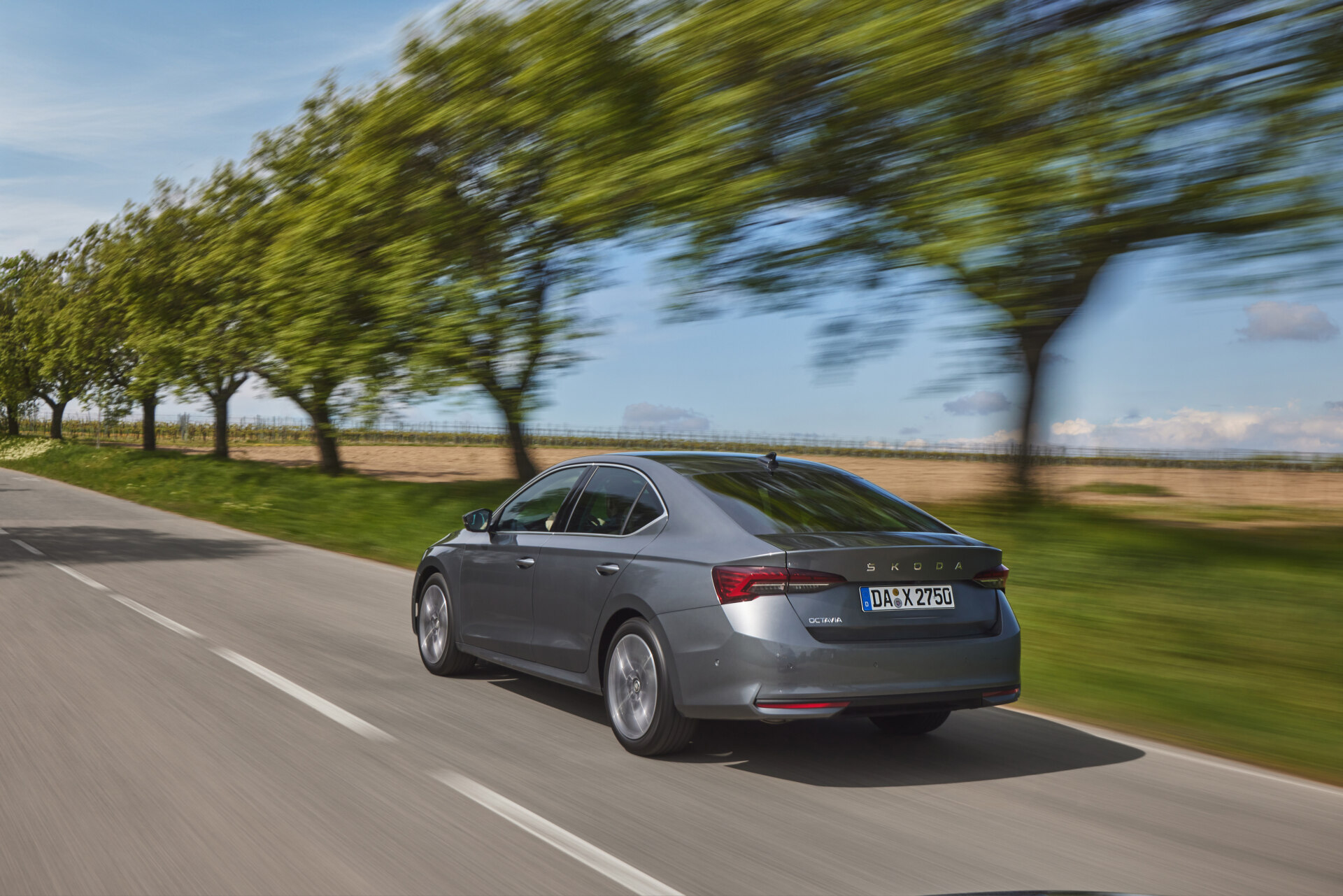 Škoda Octavia connectivity official photo