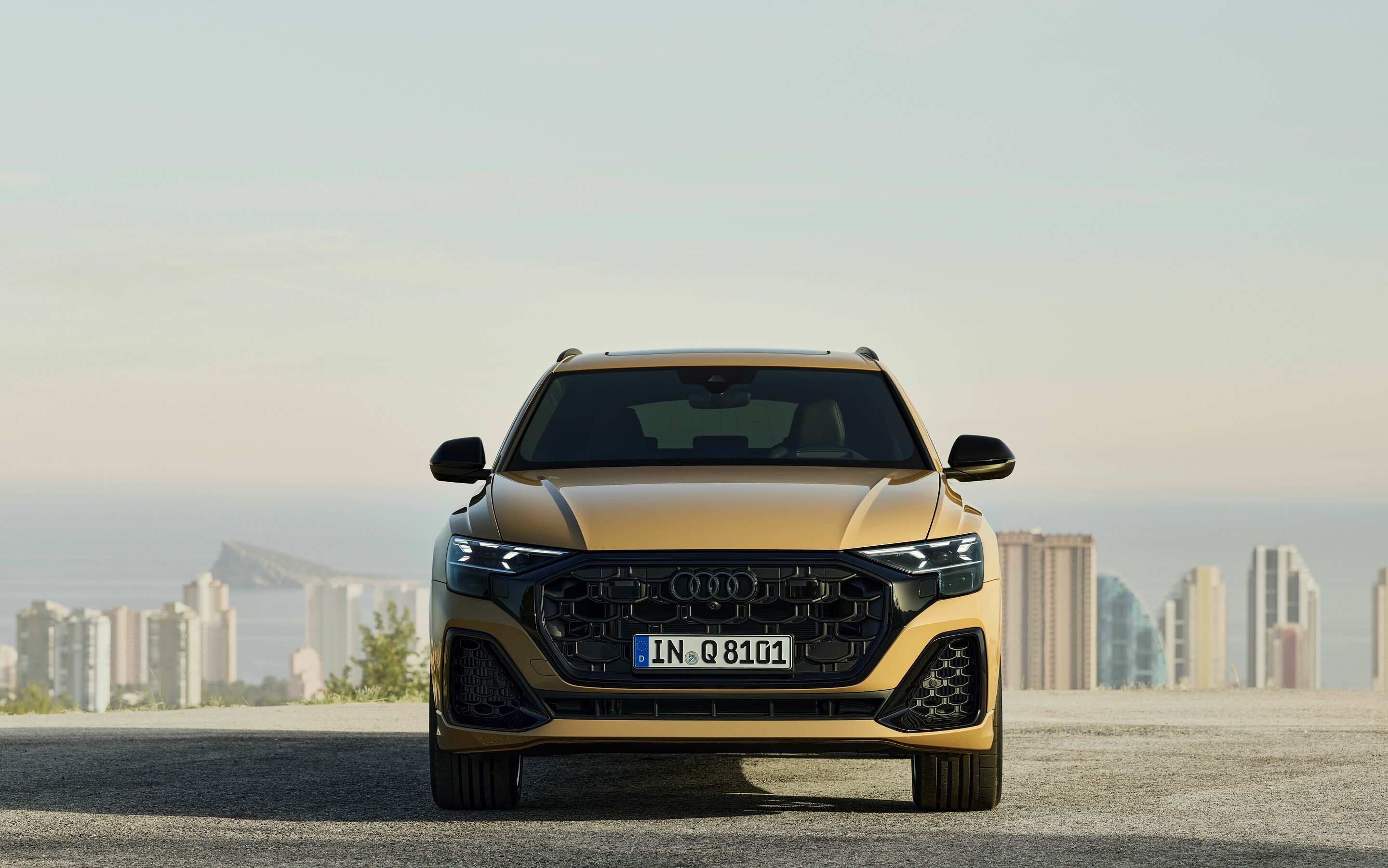 Audi Q8 Exterior official photo