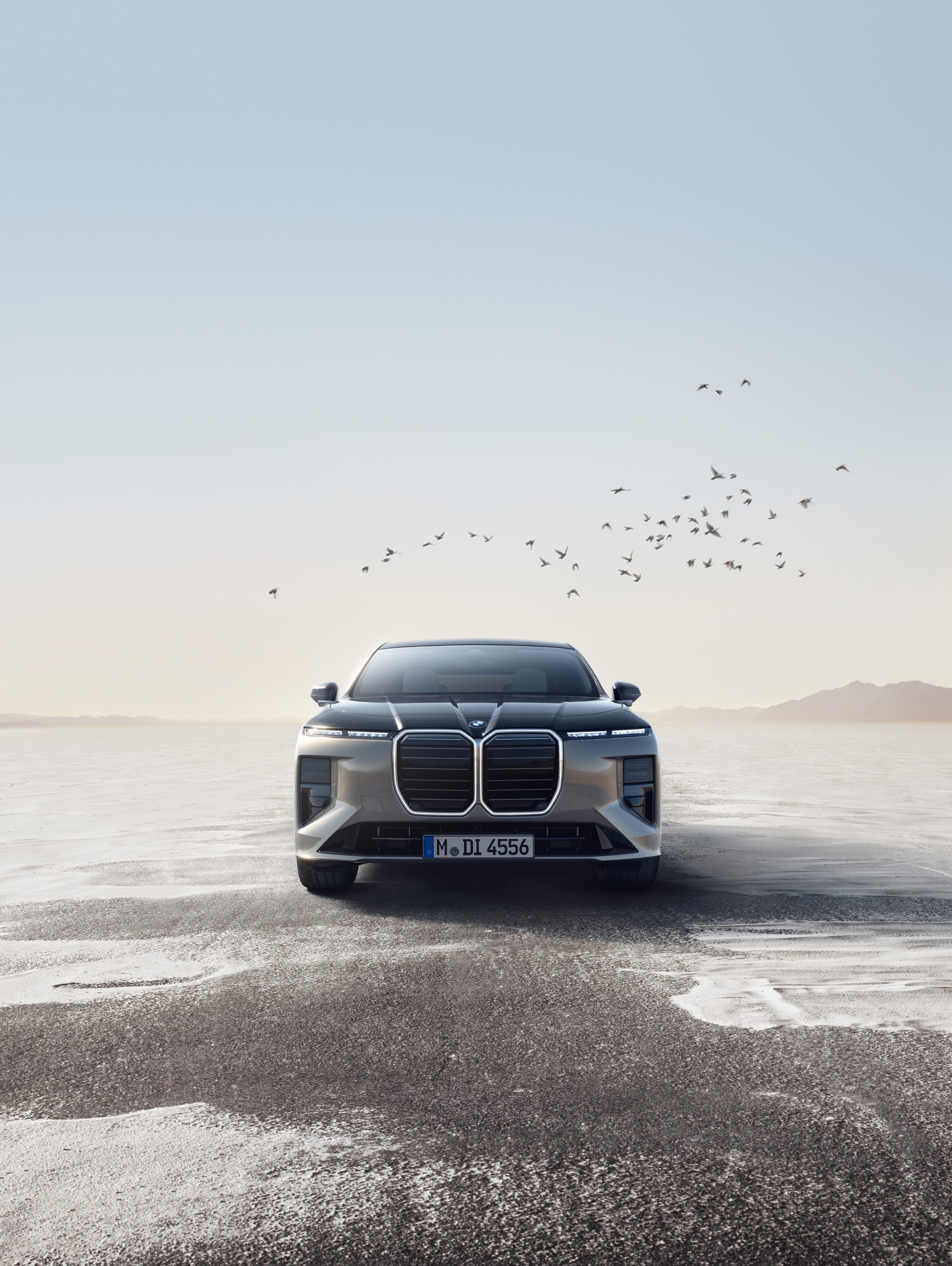 BMW 7 Series exterior P90636819