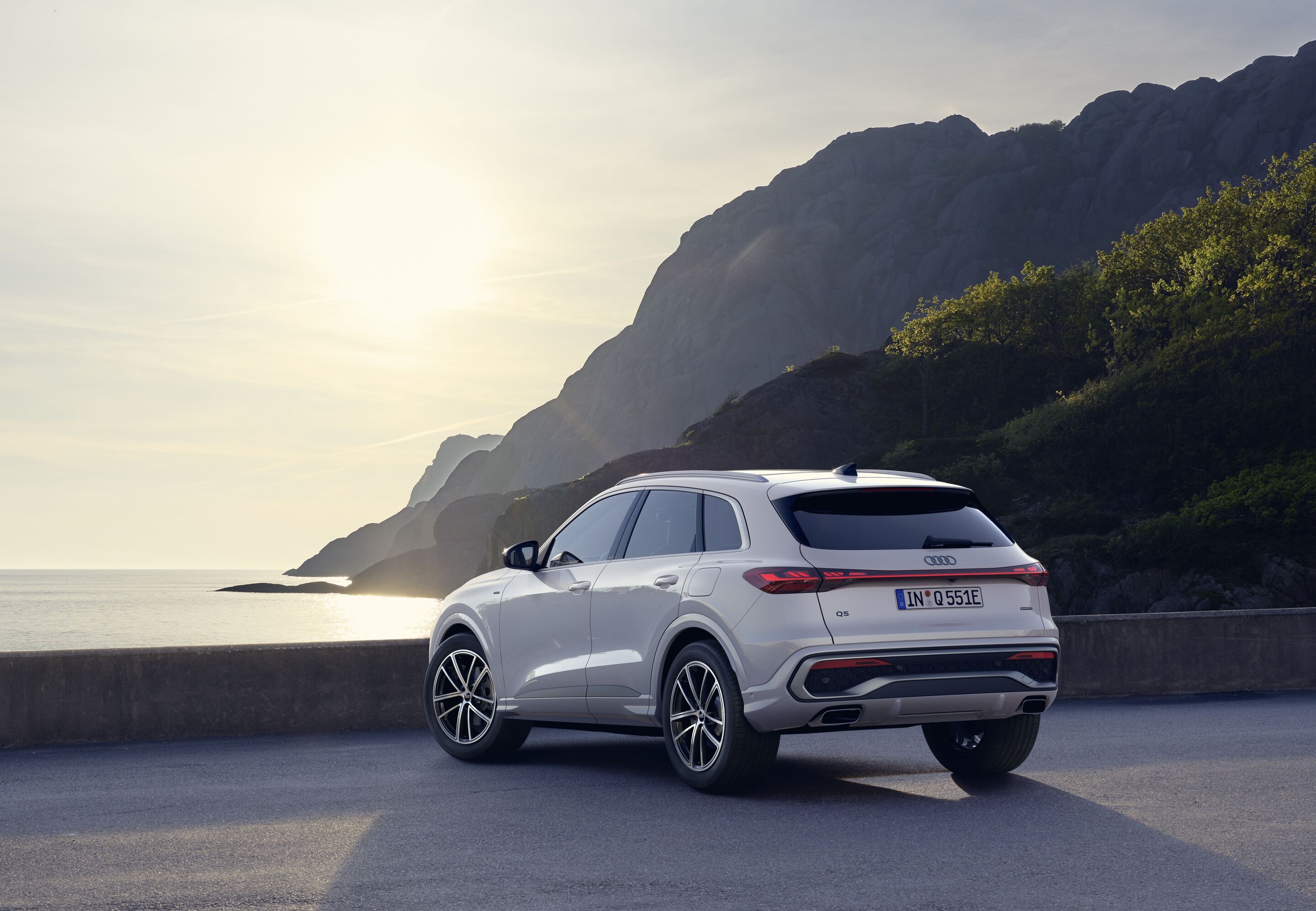 Audi Q5 SUV e-hybrid additional exterior official photo