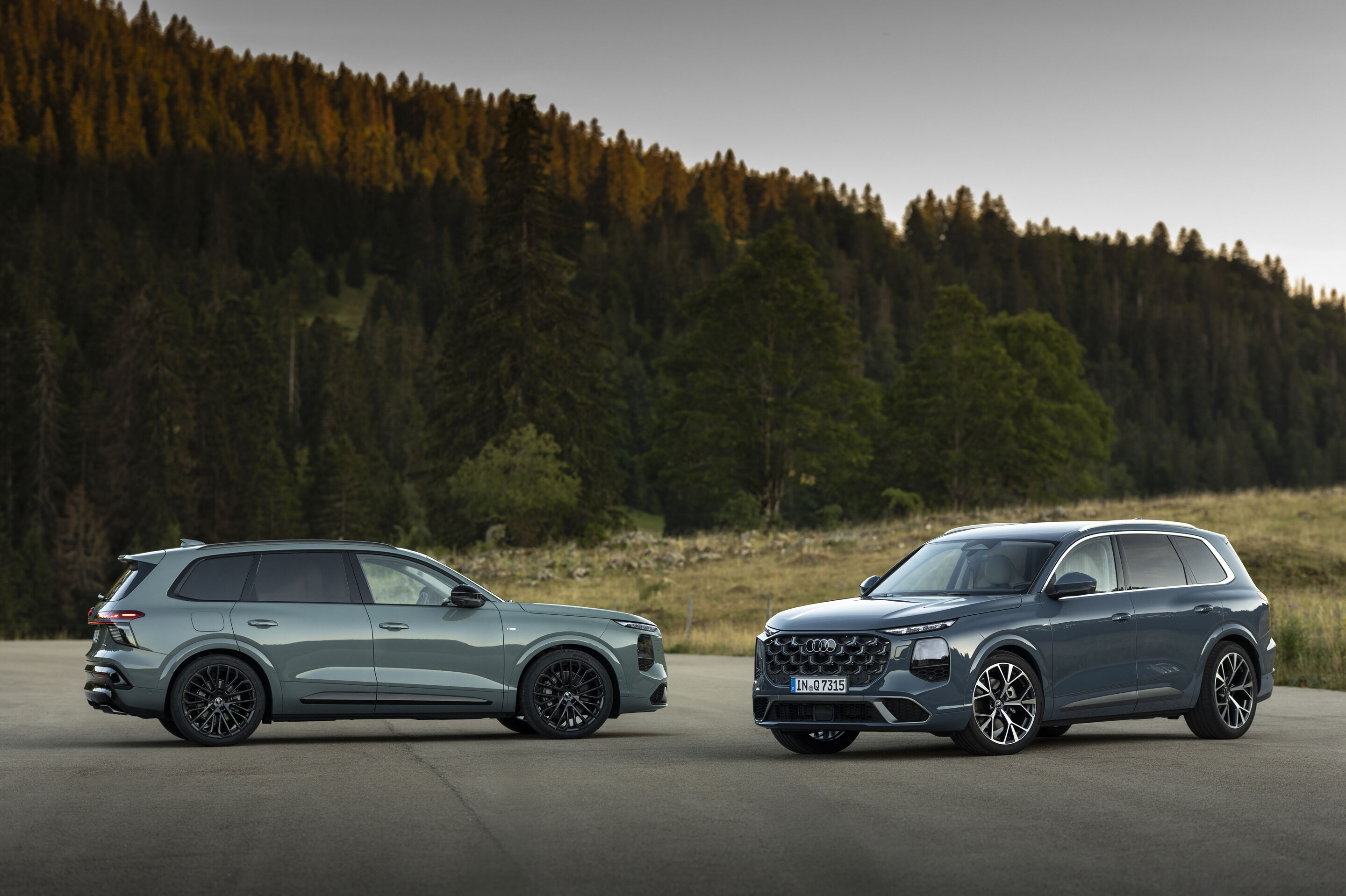 Audi Q7 Exterior official photo