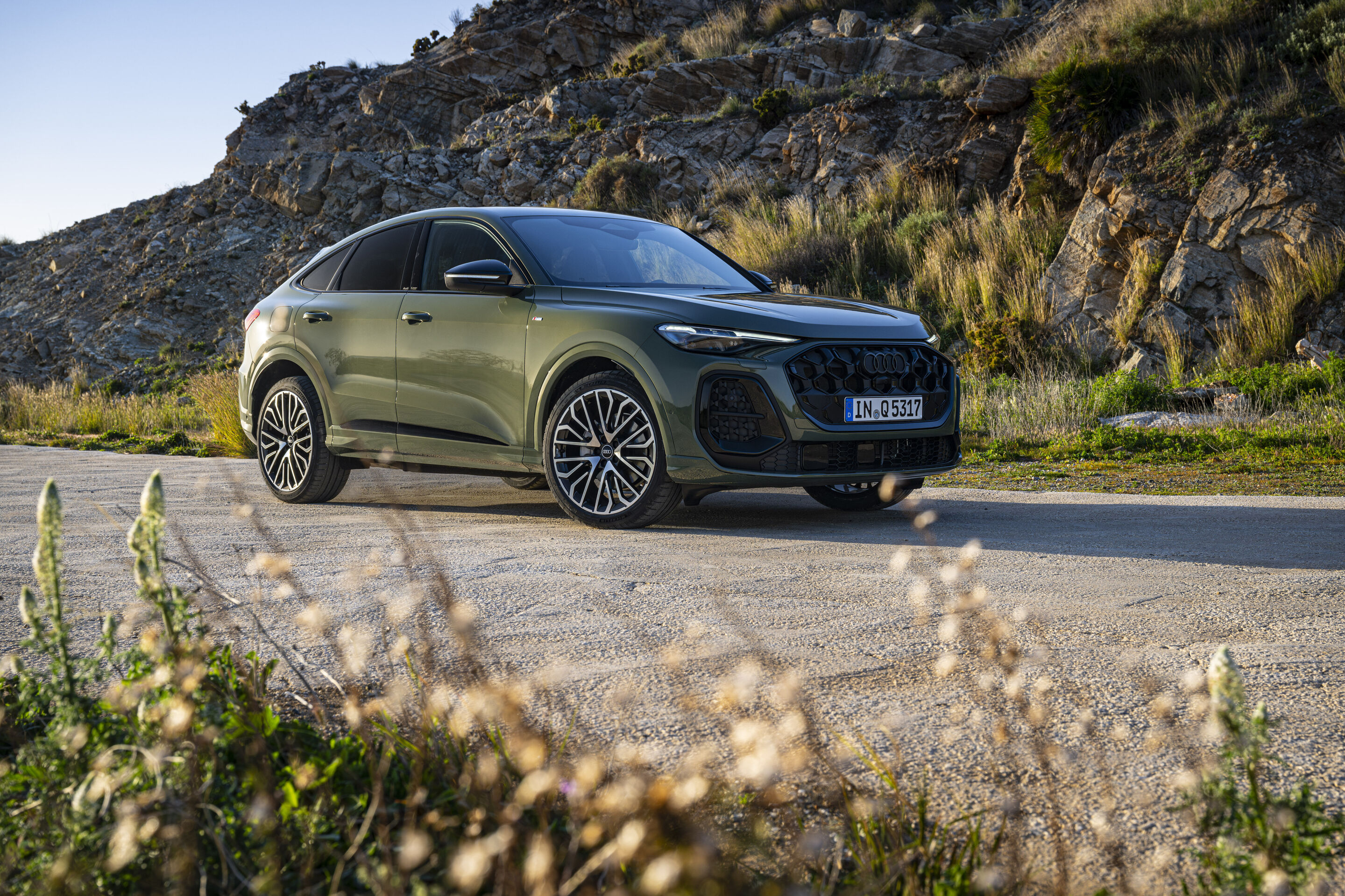 Audi Q5 Sportback additional exterior official photo