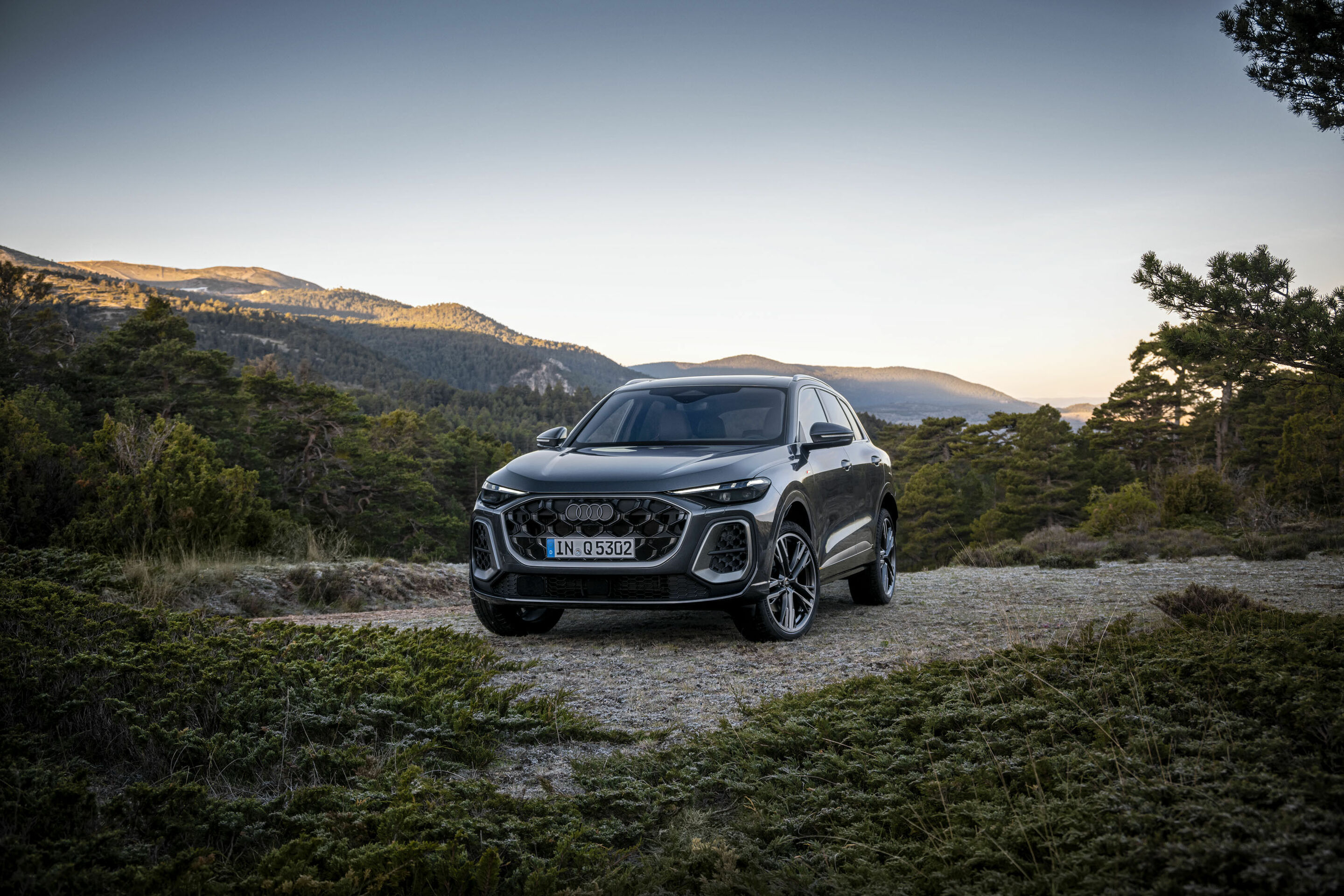 Audi Q5 SUV additional exterior official photo