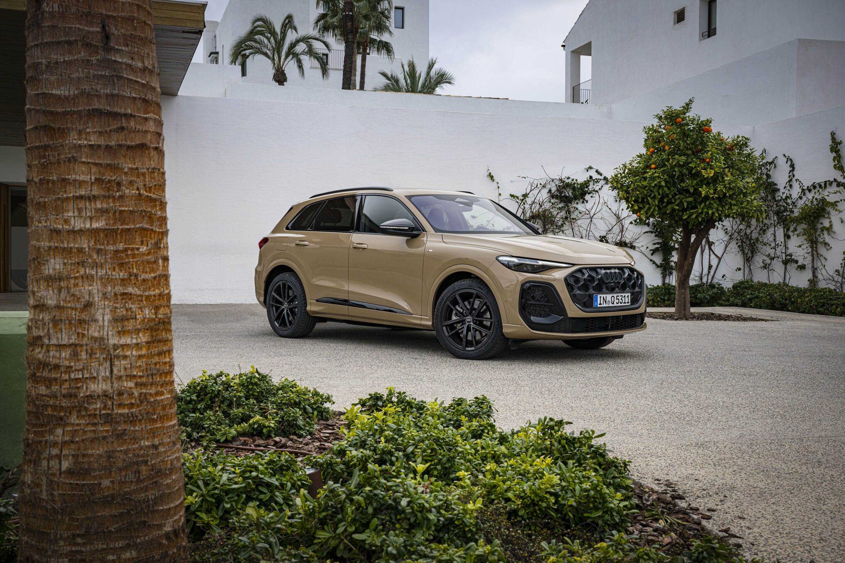 Audi Q5 SUV additional exterior official photo