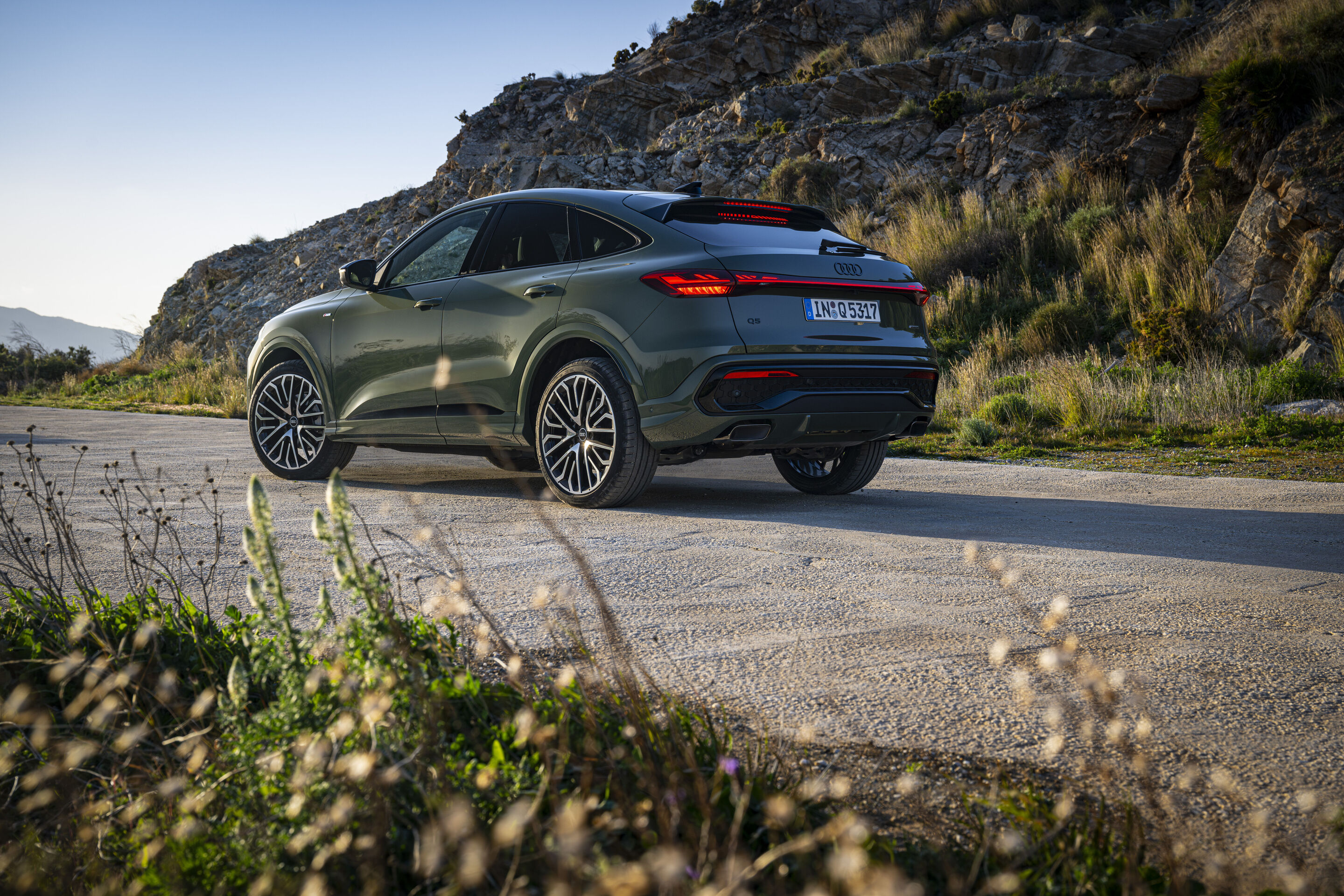 Audi Q5 Sportback additional exterior official photo
